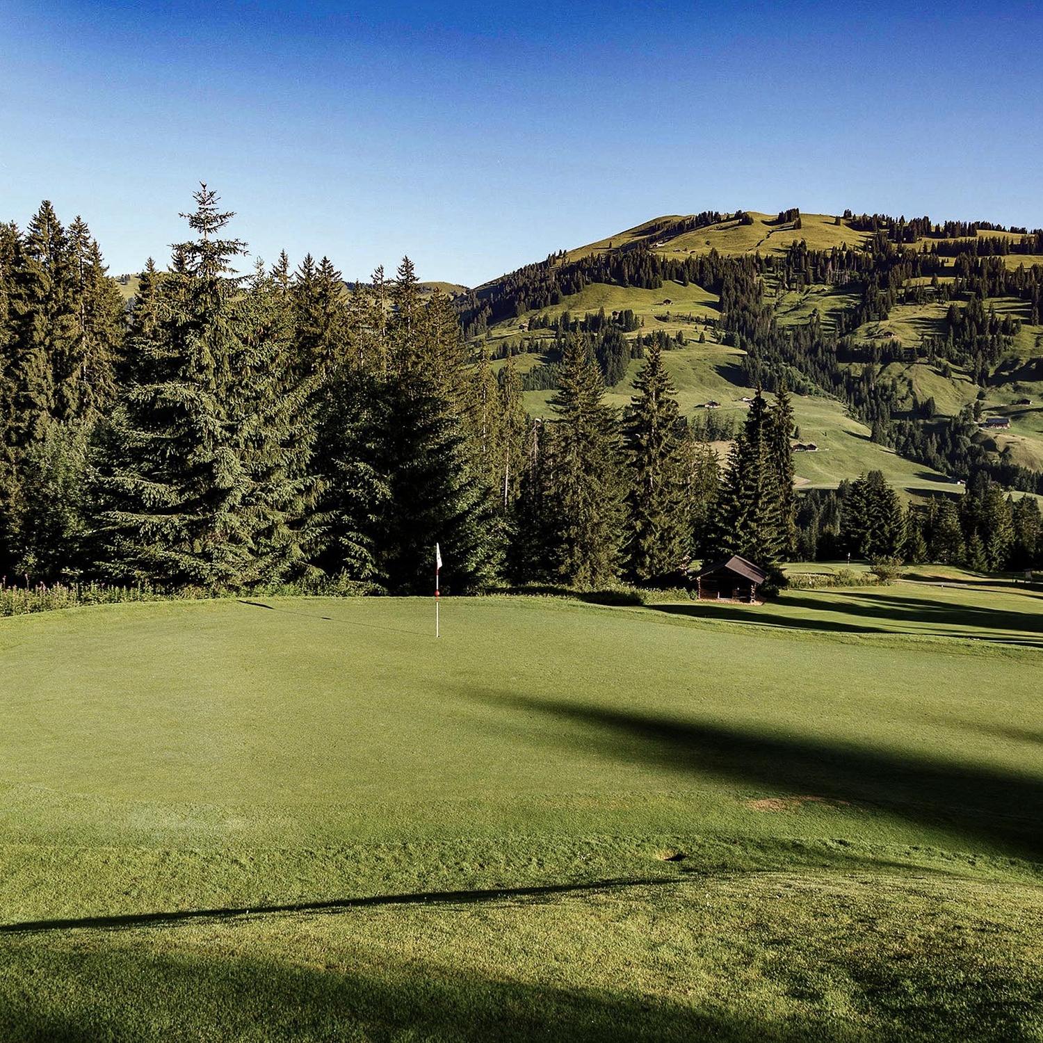 Jouer au golf sur un terrain unique...